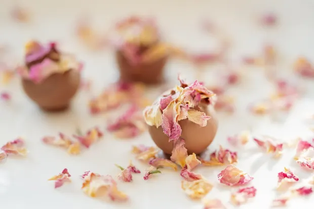 ペダラダ10 カジノ Android/iOS アプリ